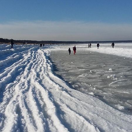 *Strandaster* In Zingst - 100 M Bis Strand, Ruhig, Zentral. Екстериор снимка