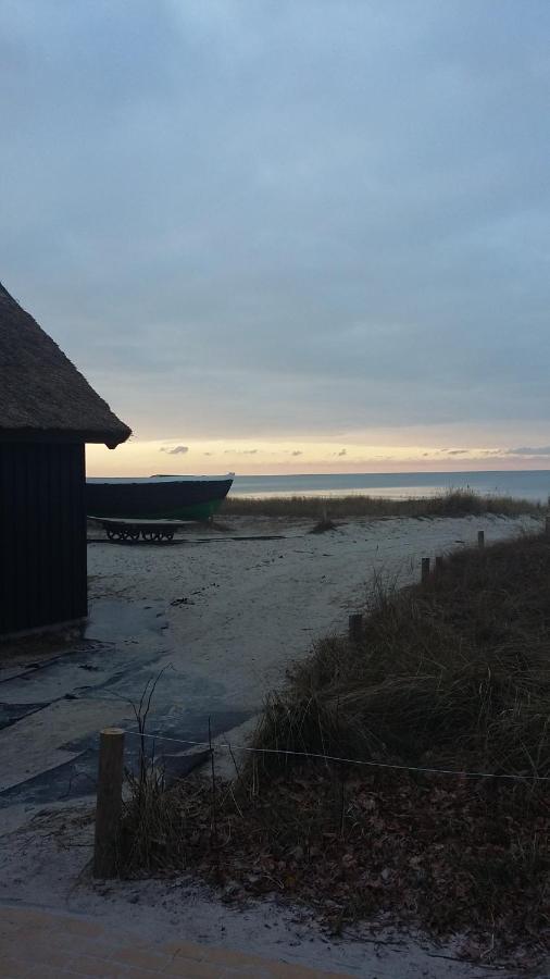 *Strandaster* In Zingst - 100 M Bis Strand, Ruhig, Zentral. Екстериор снимка