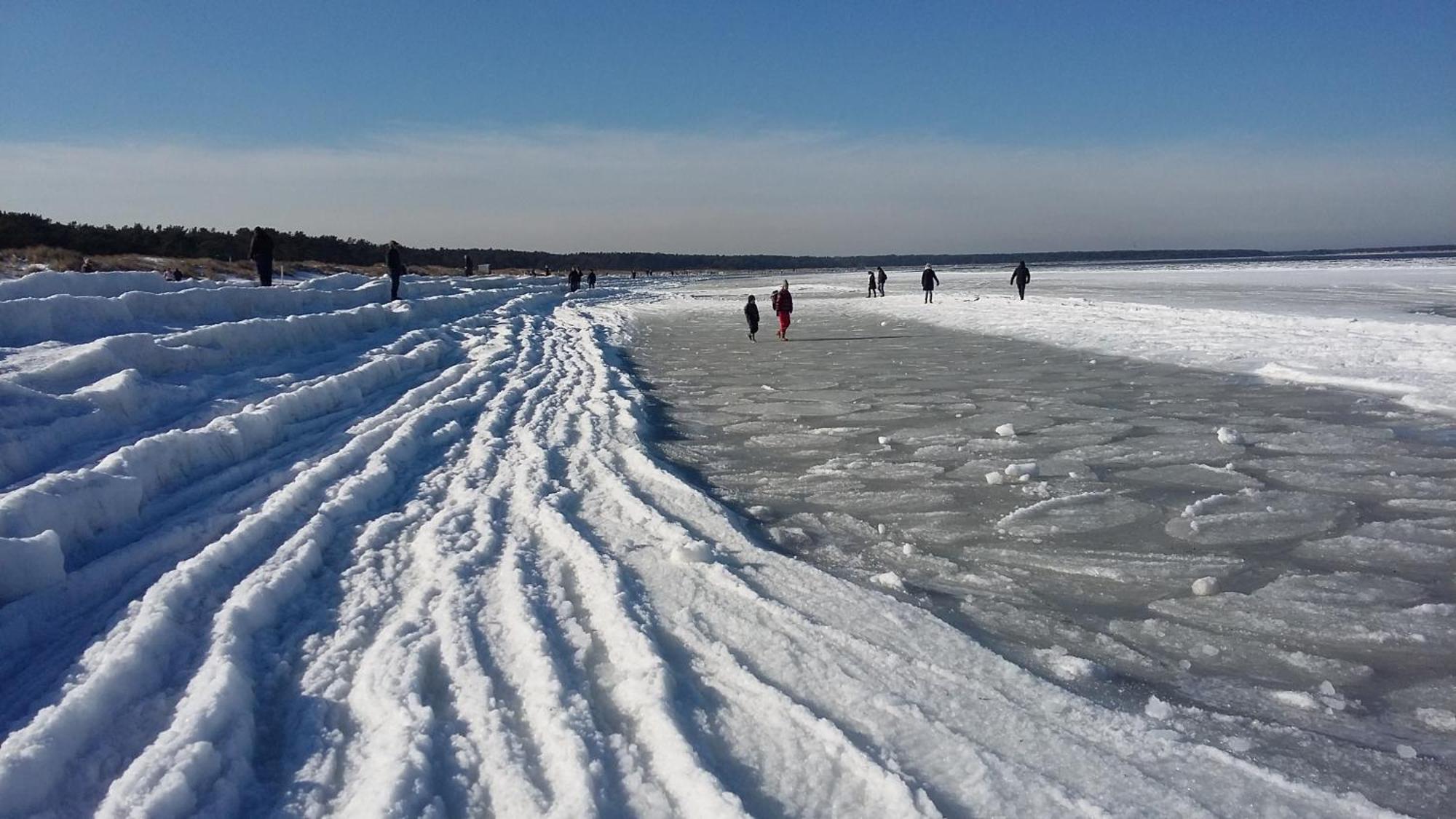 *Strandaster* In Zingst - 100 M Bis Strand, Ruhig, Zentral. Екстериор снимка
